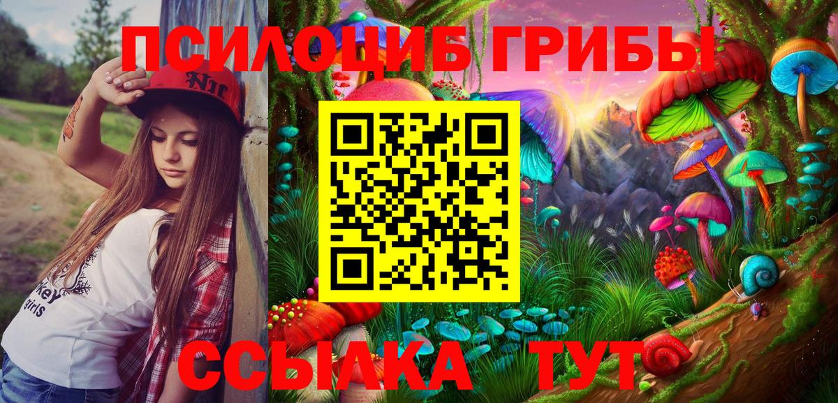 Псилоцибиновые грибы GOLDEN TEACHER  Вход с VPN  Псилоцибиновые грибы ЛСД  Чапаевск 